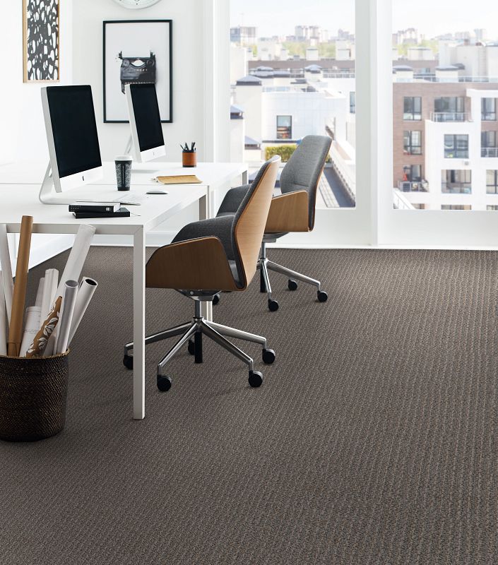 Shaw - Philadelphia Avenue Collection