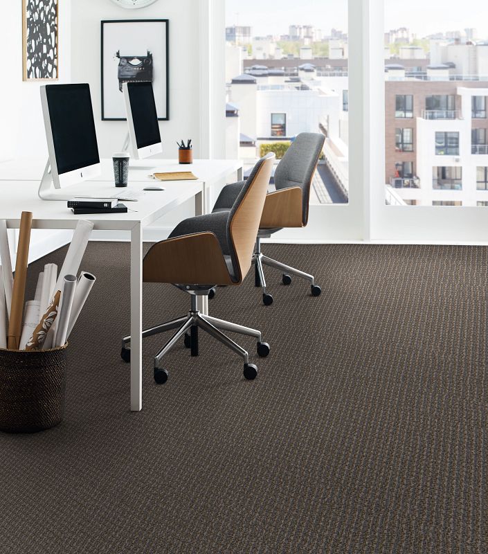 Shaw - Philadelphia Avenue Collection