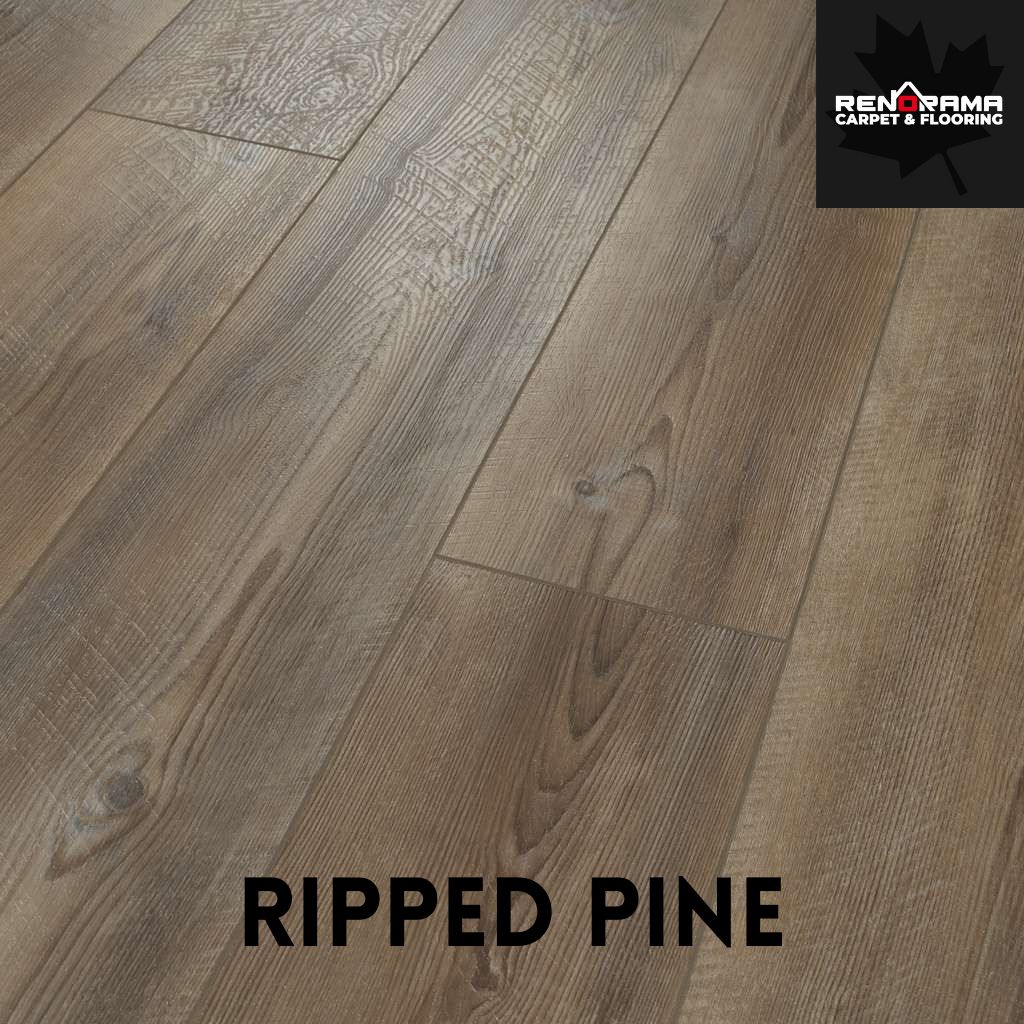 Shaw Paragon 7" Plus Vinyl