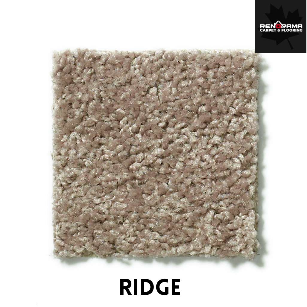 Take Away (S)  Shaw Carpet