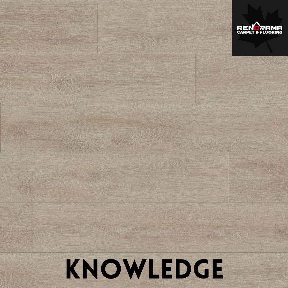 Beaulieu Laminate Wisdom Colllection