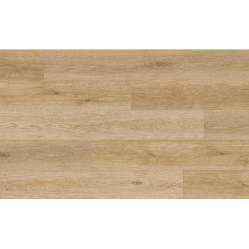 Dynamix Endure Engineered Luxary Vinyl Plank 4.5mm