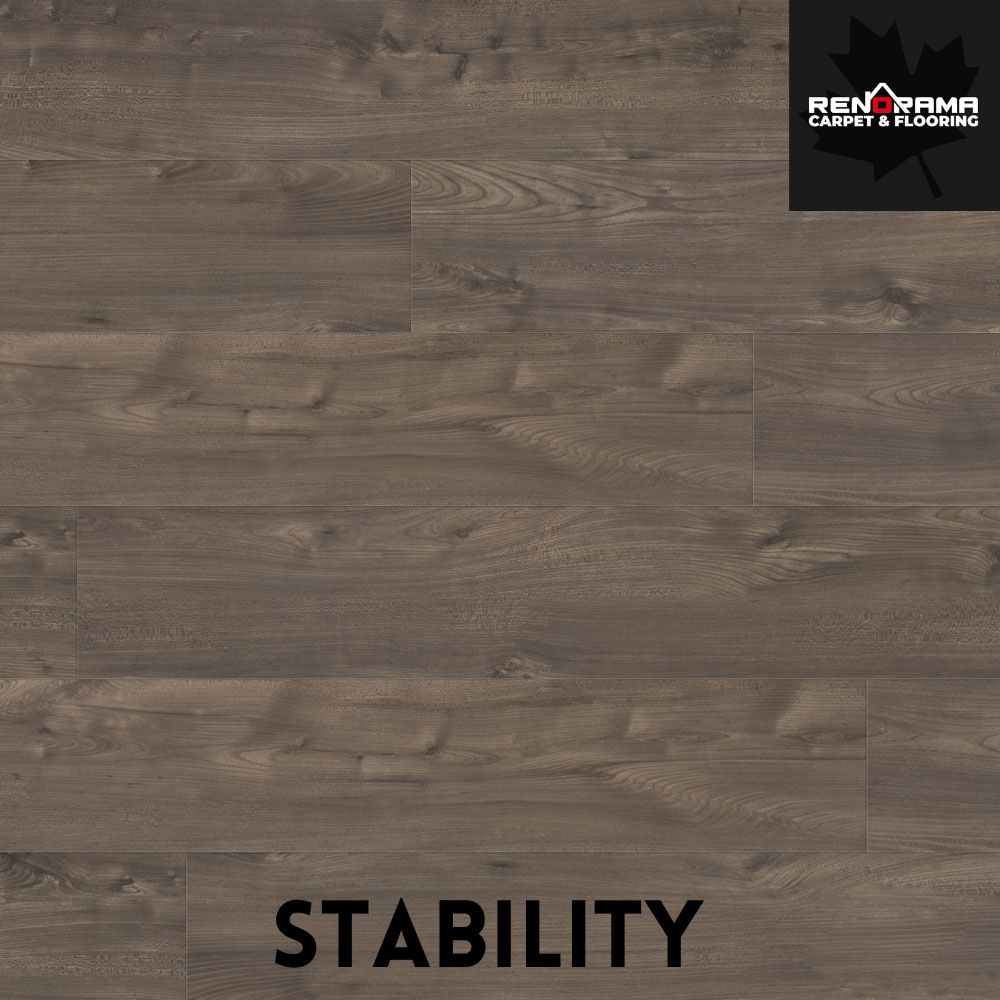 Beaulieu Laminate Wisdom Colllection
