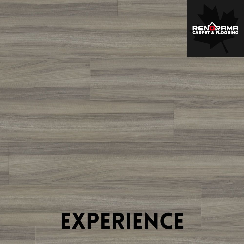 Beaulieu Laminate Wisdom Colllection
